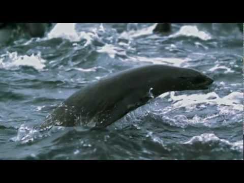 Amazing Norway.     The Highlights.