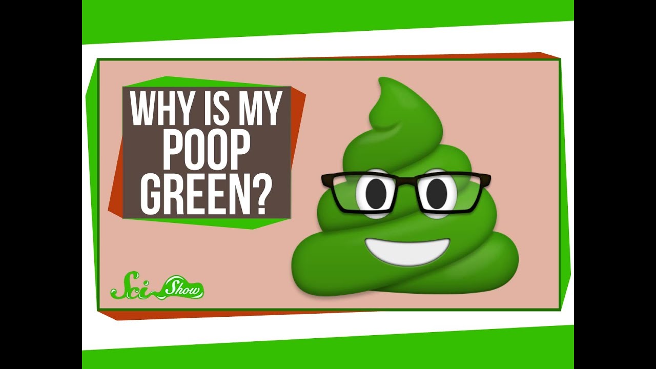 Why Is My Poop Green?