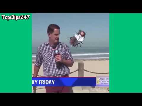 Wait A Minute Mr Postman Kid VINE REMIX Compilation #mrpostman