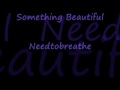 Something Beautiful NeedToBreathe 