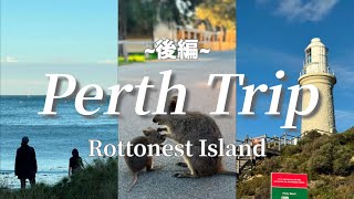 【パース旅行VLOG】ロットネスト島の6日間幸せだった〜✨Perth trip in Rottonest island