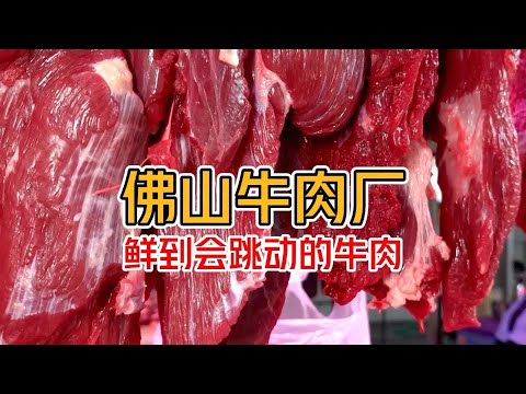 Buddhist Mountain's Dancing Beef: Fresh Sliced and Devoured to Perfection! #Ajin #Fragile Autumn Br