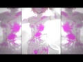 DANGEROUS WOMAN Ruruka Ando