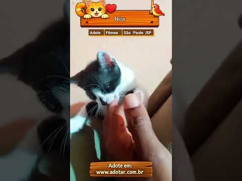Vídeo de Nina