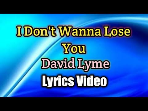 I Don't Wanna Lose You - David Lyme (Lyrics Video)