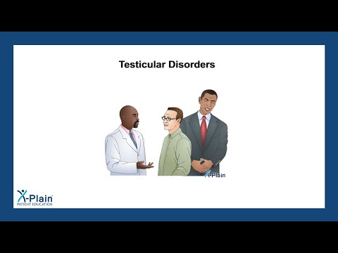Testicular Disorders