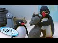 Pingu At The Museum Pingu Official 1 Hour Cartoons For Kids