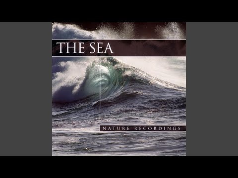 The Sea 1