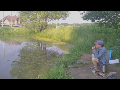 Фото Караси) на поплавок. Рыбалка на деревенском пруду