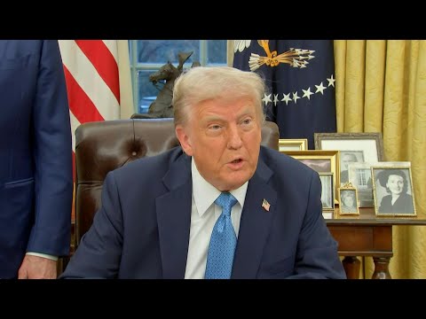 Video Thumbnail: Trump says will put tariffs on chips, oil, gas and steel | AFP