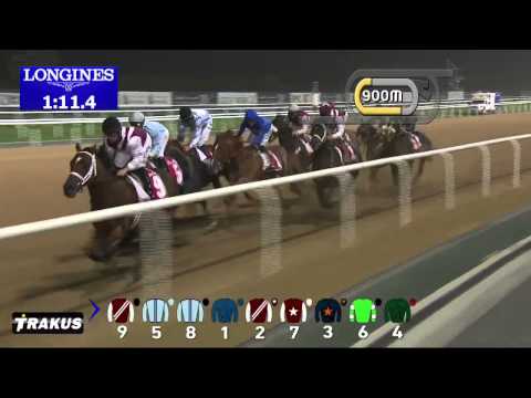 07.03.2015 Meydan (Dubai/UAE) 7.Race Al Maktoum Challenge - Round 3 - Group I  2.000 m