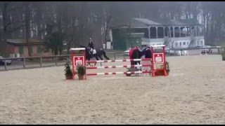 Video koně Conquera