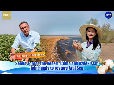 Seeds across deserts: China and Uzbekistan revive Aral Sea ecosystem