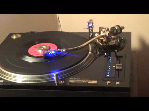 SURFIN' BIRD  /   The Trashmen