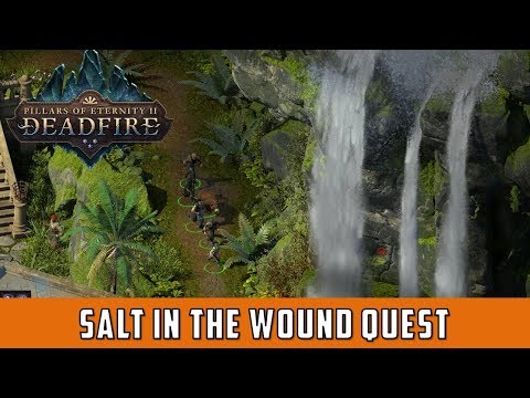Salt in the wound Quest (Pillars of eternity 2 Deadfire)