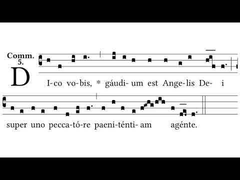 Dico vobis: Joy over 1 sinner who repents - Communion antiphon for 3rd Sunday after Pentecost