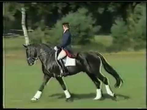 Rotspon by Rubenstein