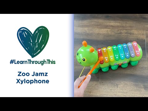 Zoo Jamz Xylophone | #LearnThroughThis with Tiffany