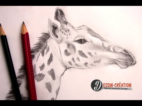Comment dessiner une girafe facilement