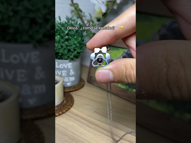 Vídeo relacionado con Regalo para amantes de perros de rescate de amor de paz Manga Larga
