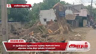 60 ஆண்டுகால பழமையான மரத்தை அடியோடு வெட்டி  விற்பனை செய்த திமுக ஒன்றிய செயலாளர்