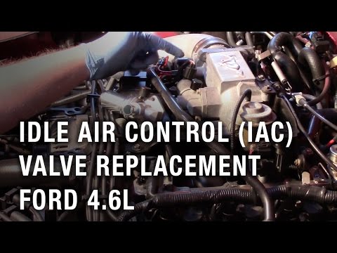 Idle Air Control (IAC) Valve Replacement - Ford 4.6L
