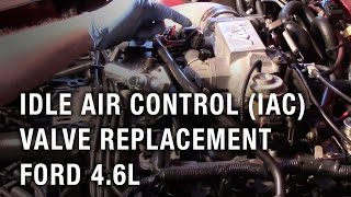 Idle Air Control (IAC) Valve Replacement - Ford 4.6L