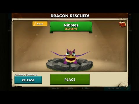 New Dragon "NIBBLES" from Thawfest 😍🐉🎉❤️ and Bounty Pack