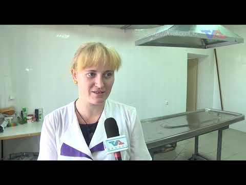 Выпуск программы "День" от 13 октября 2020г.