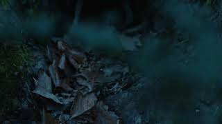 Just Before Nightfall | An Abstract Short Film
