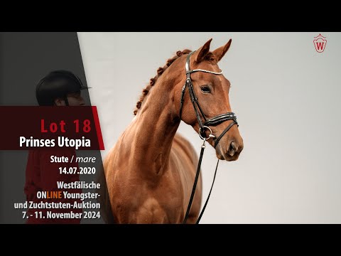 Zuchtstuten- u. Youngster-Auktion Lot 18 Prinses Utopia Stute v. Vaderland - El Capone