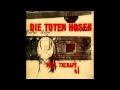 Die Toten Hosen - Soul Therapy 