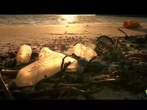 Orina, como combustible