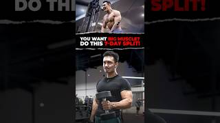 Push-Pull-Legs: Is It the Best Workout Split for You?