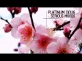 Platinum Doug - Serious Moods (Radio Edit) 