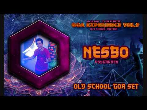 nESbo DJ Set at Club Plastic - Goa Experience Vol.9 (2017)