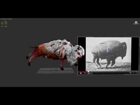 Crude Buffalo Animation