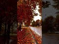 Calgary Autumn Season Fall Alberta Canada #calgary #yyc #alberta #canada #autumn #fall #mrnomadic
