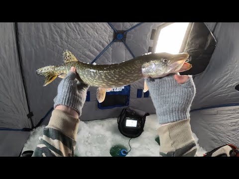 Finally Ice Fishing! - Double Day on Last Mountain Lake