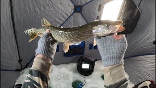 Finally Ice Fishing! - Double Day on Last Mountain Lake