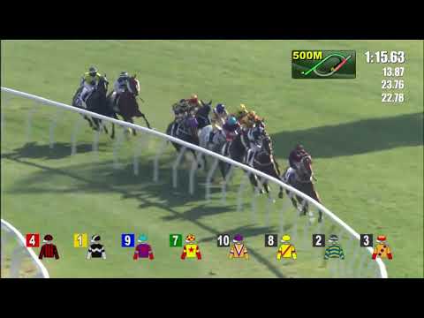 Glorious Dragon (IRE) 【グロリアスドラゴン】 The Centenary Vase G3 2021