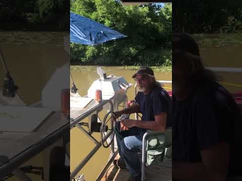 #houseboat #life #shortvideo #sunny #boatlife #shorts #boatrides #captain #summer #summervibes #fun