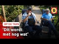 Het einde van het tuinseizoen is in zicht | Op de tuin