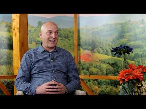 Kada se očekuje setva kukuruza? (AS hibridi za berbu u zrnu)