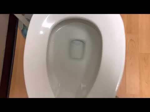 59. Sport Clips Kentucky Unisex Restroom (Full Shoot)