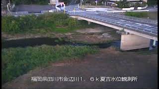 動画のサムネイル