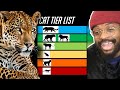 TIERZOO CAT TIER LIST CHANGED EVERYTHING WE KNEW ABOUT CATS 🤯