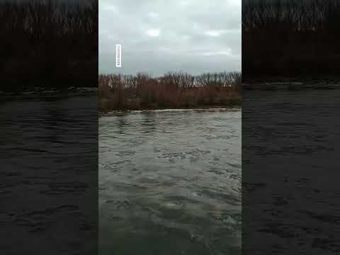 🥶 Las bajas temperaturas congelaron también el río Picún Leufú en Paso Aguerre