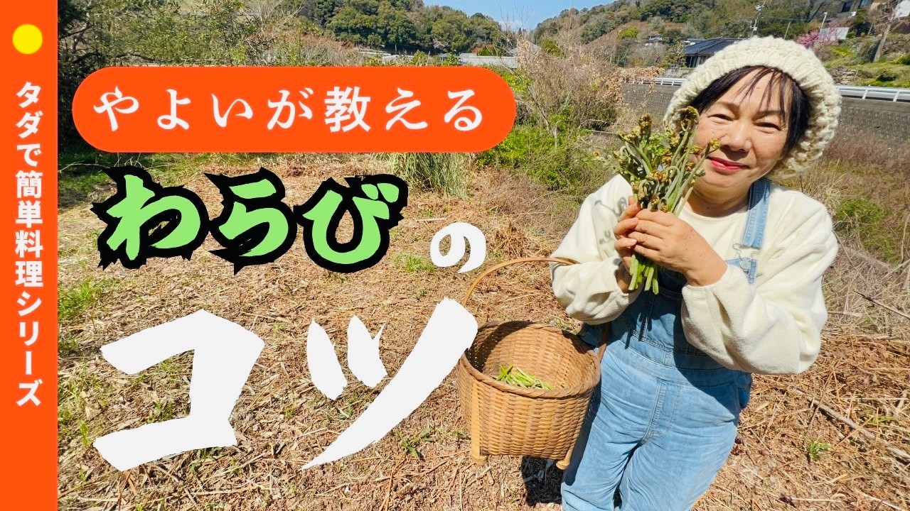 わらびはどういうところに生えているのでしょうか？！採る時&調理のコツもお伝えします。