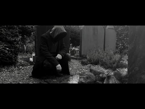 Play Video Youtube Video